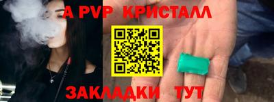 шишки Бердск