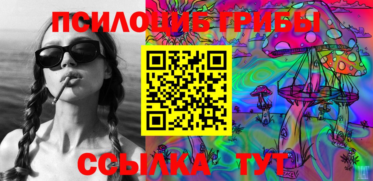 Вольск  Псилоцибиновые грибы ЛСД  где продают наркотики  Вход с VPN 